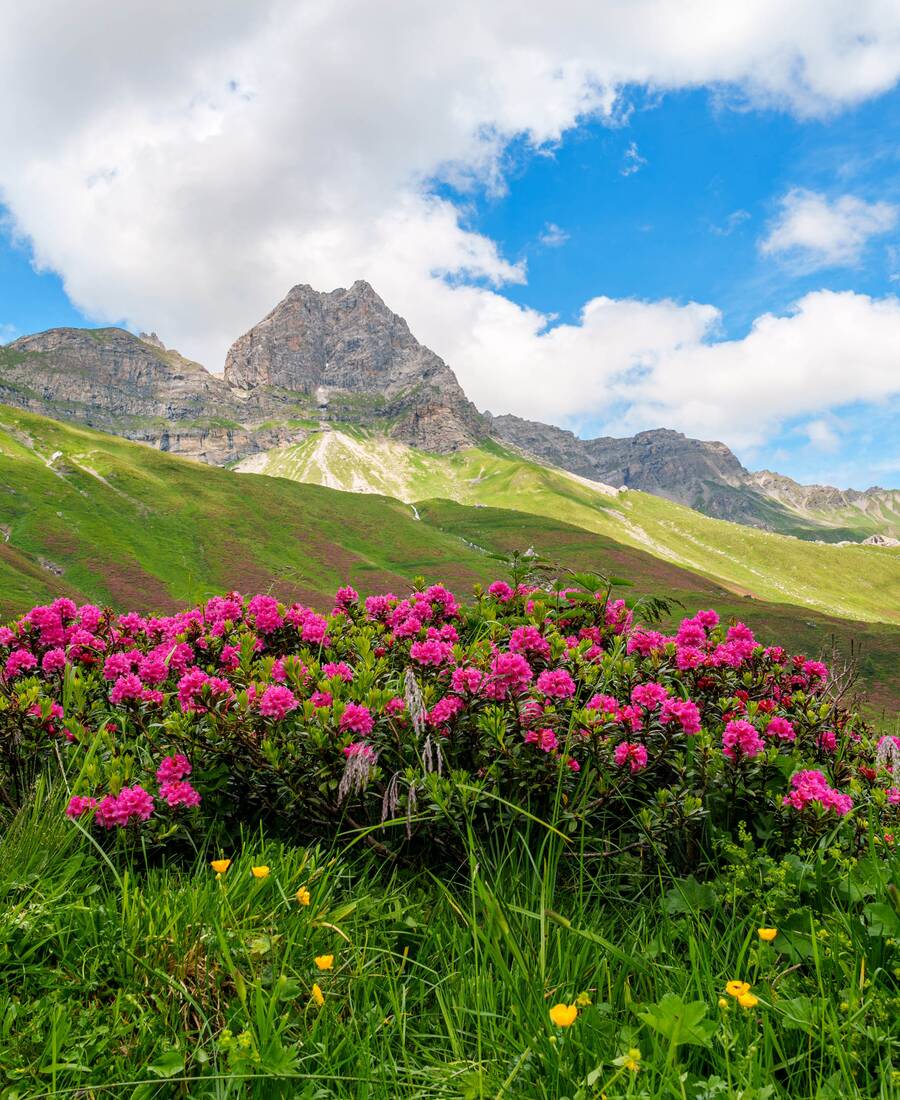 Natur Zillertal