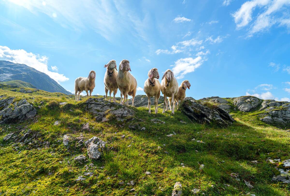 Natur Zillertal